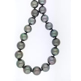 Tahititan Pearl Strand