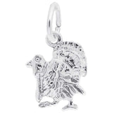 Silver TURKEY CHARM