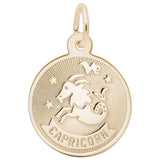 10 KT CAPRICORN CHARM