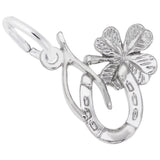 Symbols Of Luck Charm