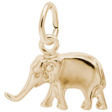 Small Elephant Charm