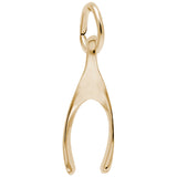 Small Wishbone Charm