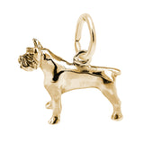 Pitbull Charm