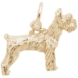 SCHNAUZER