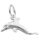 Dolphin Charm