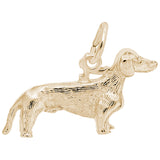 DACHSHUND