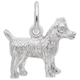 JACK RUSSELL TERRIER