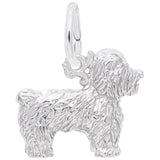BICHON FRISE